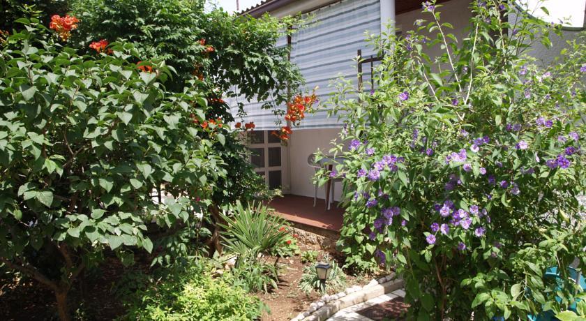 Apartman Nena Apartment Кленовица Стая снимка